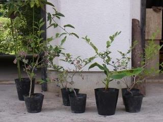 201407021.JPG