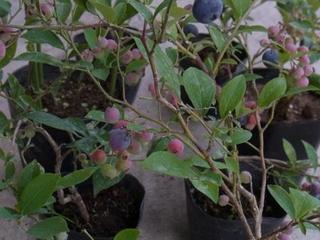 201407022.JPG
