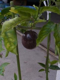 201407023.JPG