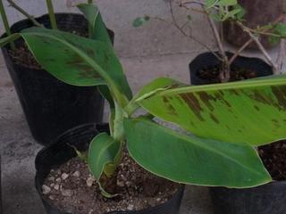 201407024.JPG