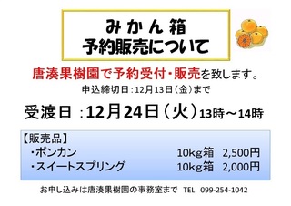 みかん.jpg